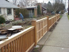 The New Fence
