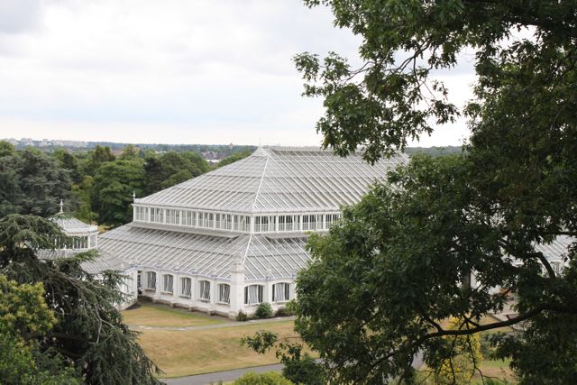 View from Sky Walk